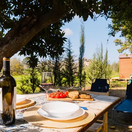 Il Giardino Del Barone - Salento Selection Apartmán Alezio