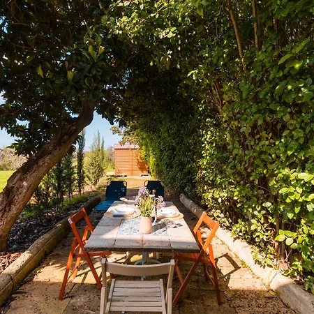 Il Giardino Del Barone - Salento Selection Apartmán Alezio