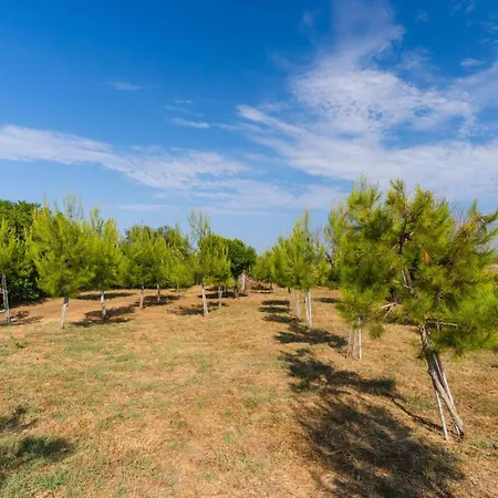 Il Giardino Del Barone - Salento Selection Алецио