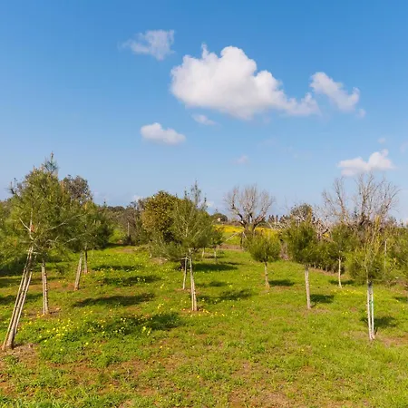 Il Giardino Del Barone - Salento Selection *